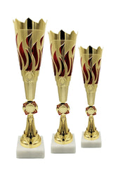 CTS 118 | SET de 3 Cupe Sportive - TrophyShop